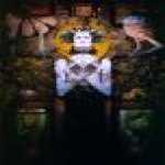 thumb_1344 (Medium).jpg